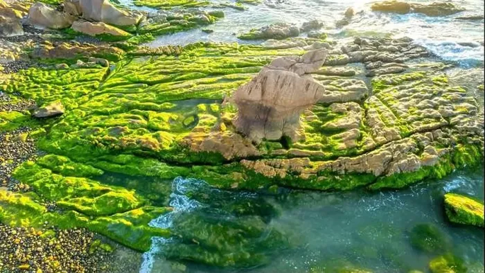 Framed Print : Amazing of rock and moss at Co Thach beach, Tuy Phong, Binh Thuan province, Vietnam, Seascape of Vietnam Strange rocks Framed Print : Amazing of rock and moss at Co Thach beach, Tuy Phong, Binh Thuan province, Vietnam, Seascape of Vietnam Strange rocks