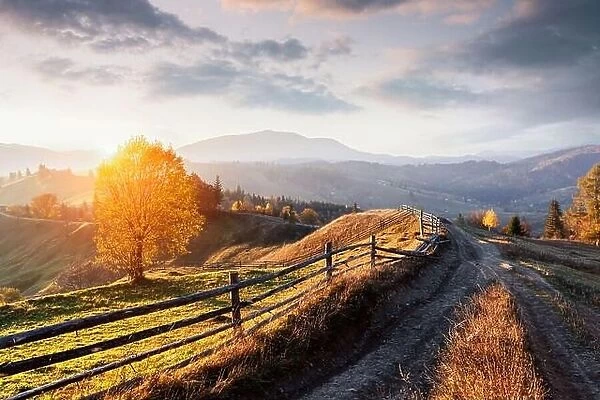 Amazing rural scene on autumn mountains. Yellow and orange trees in fantastic evening sunlight. Carpathians, Ukraine, Europe. Landscape photography