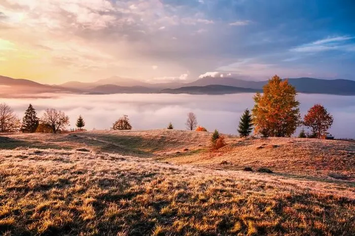 Framed Print : Amazing scene on autumn mountains. Yellow and orange trees in fantastic morning fog. Carpathians, Europe. Landscape photography Framed Print : Amazing scene on autumn mountains. Yellow and orange trees in fantastic morning fog. Carpathians, Europe. Landscape photography