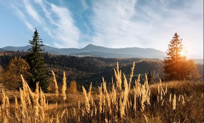 Framed Print : Amazing scene on autumn mountains. Yellow and orange trees in fantastic morning sunlight. Landscape photography Framed Print : Amazing scene on autumn mountains. Yellow and orange trees in fantastic morning sunlight. Landscape photography