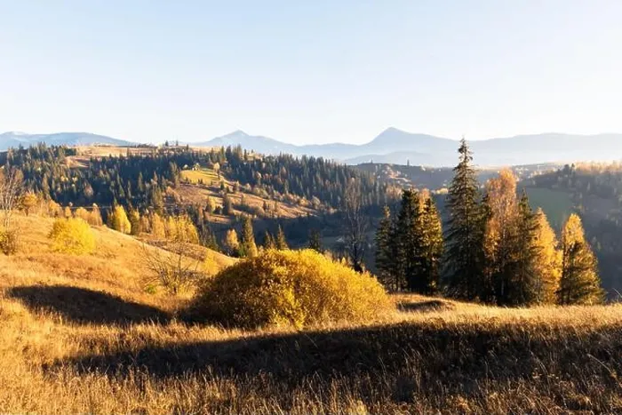 Framed Print : Amazing scene on autumn mountains. Yellow and orange trees in fantastic morning sunlight. Carpathians, Europe. Landscape photography Framed Print : Amazing scene on autumn mountains. Yellow and orange trees in fantastic morning sunlight. Carpathians, Europe. Landscape photography