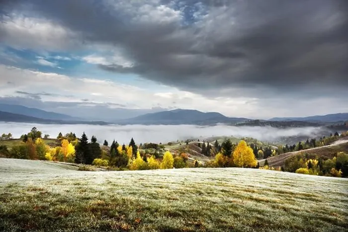 Framed Print : Amazing scene on autumn mountains. Yellow and orange trees in fantastic morning fog. Carpathians, Europe. Landscape photography Framed Print : Amazing scene on autumn mountains. Yellow and orange trees in fantastic morning fog. Carpathians, Europe. Landscape photography