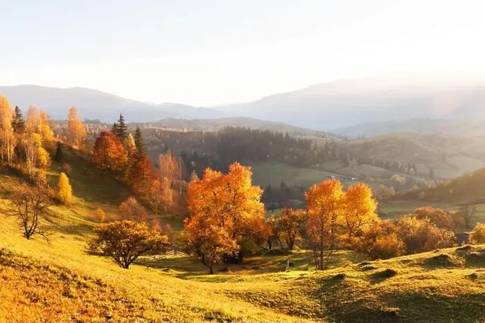 Framed Print : Amazing scene on autumn mountains. Yellow and orange trees in fantastic morning sunlight. Carpathians, Europe. Landscape photography Framed Print : Amazing scene on autumn mountains. Yellow and orange trees in fantastic morning sunlight. Carpathians, Europe. Landscape photography