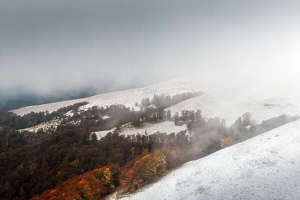 Amazing scene on autumn mountains. First snow and orange trees in fantastic morning fog. Carpathians, Europe. Landscape photography