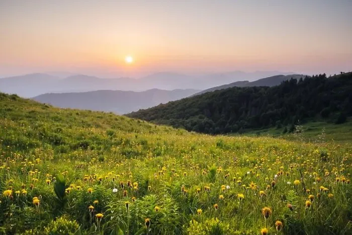 Framed Print : Amazing scene in summer mountains. Lush green grassy meadows in fantastic evening sunlight. Carpathians, Europe. Landscape photography Framed Print : Amazing scene in summer mountains. Lush green grassy meadows in fantastic evening sunlight. Carpathians, Europe. Landscape photography