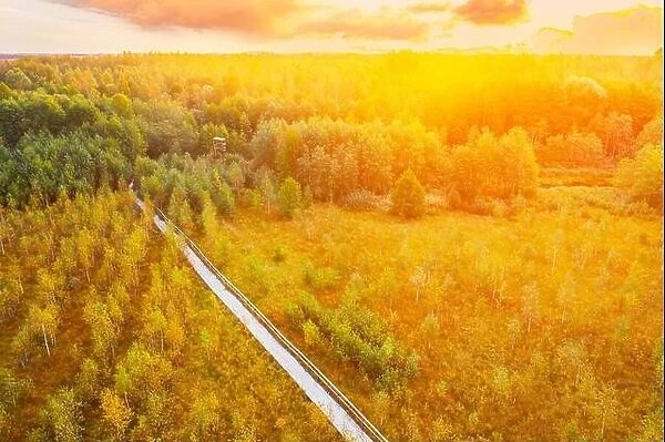 Amazing Scenic Aerial Bright Sunbeams View Of Nature Reserve Swamp Landscape. Narrow Wooden Hiking Trail Winding Through Marsh. Cognitive Boardwalk