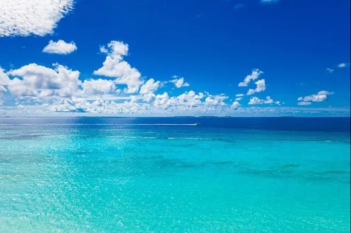 Framed Print : Amazing seascape, beautiful turquoise tropical ocean water with boat on it top view aerial photo. Maldives Indian ocean, aerial seascape, landscape Framed Print : Amazing seascape, beautiful turquoise tropical ocean water with boat on it top view aerial photo. Maldives Indian ocean, aerial seascape, landscape
