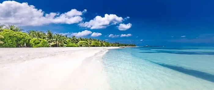 Framed Print : Amazing summer beach panorama. Exotic island coastline with palm trees and white sand close to amazing blue sea and lagoon. Tropical paradise beach Framed Print : Amazing summer beach panorama. Exotic island coastline with palm trees and white sand close to amazing blue sea and lagoon. Tropical paradise beach