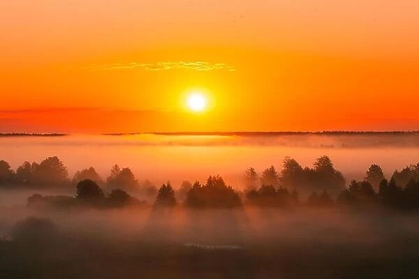 Amazing Sunrise Over Misty Landscape. Scenic View Of Foggy Morning Sky With Rising Sun Above Misty Forest. Middle Summer Nature Of Europe