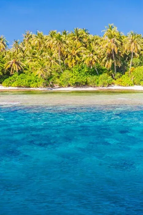 Framed Print : Amazing tropical beach in Maldives with few palm trees and blue lagoon Framed Print : Amazing tropical beach in Maldives with few palm trees and blue lagoon