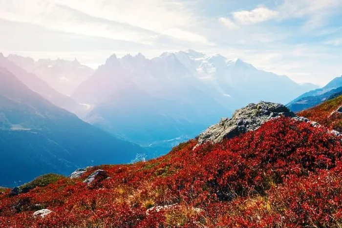 Framed Print : Amazing view on Monte Bianco mountains range with with Monblan on background. Vallon de Berard Nature Preserve, Chamonix, Graian Alps Framed Print : Amazing view on Monte Bianco mountains range with with Monblan on background. Vallon de Berard Nature Preserve, Chamonix, Graian Alps