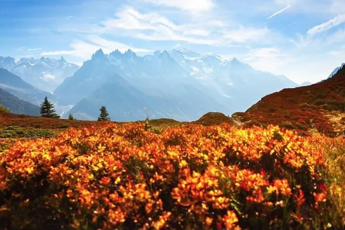 Framed Print : Amazing view on Monte Bianco mountains range with with Monblan on background. Vallon de Berard Nature Preserve, Chamonix, Graian Alps Framed Print : Amazing view on Monte Bianco mountains range with with Monblan on background. Vallon de Berard Nature Preserve, Chamonix, Graian Alps