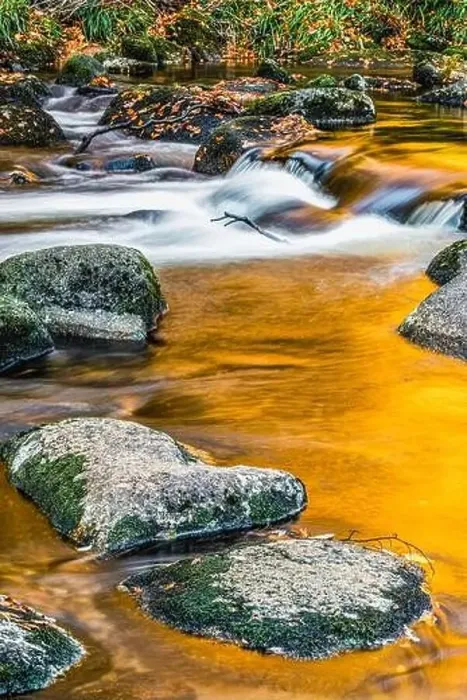 Framed Print : The Amber River or The Golden River, River Dart in Autumn Colours, Dartmoor Park, Devon, England, Europe Framed Print : The Amber River or The Golden River, River Dart in Autumn Colours, Dartmoor Park, Devon, England, Europe