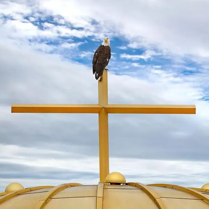 Framed Print : An American Bald Eagle (Haliaeetus leucocephalus) perched on a gold church cross and golden dome in Minneapolis Framed Print : An American Bald Eagle (Haliaeetus leucocephalus) perched on a gold church cross and golden dome in Minneapolis