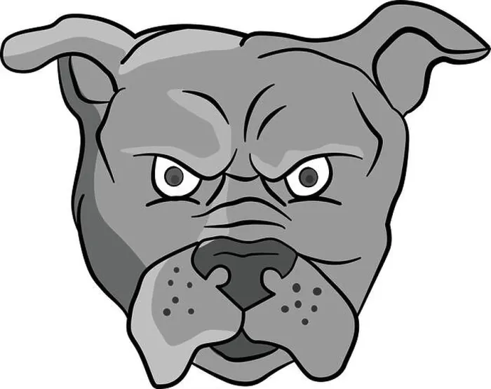 Framed Print : Angry Bulldog Head Cartoon Framed Print : Angry Bulldog Head Cartoon