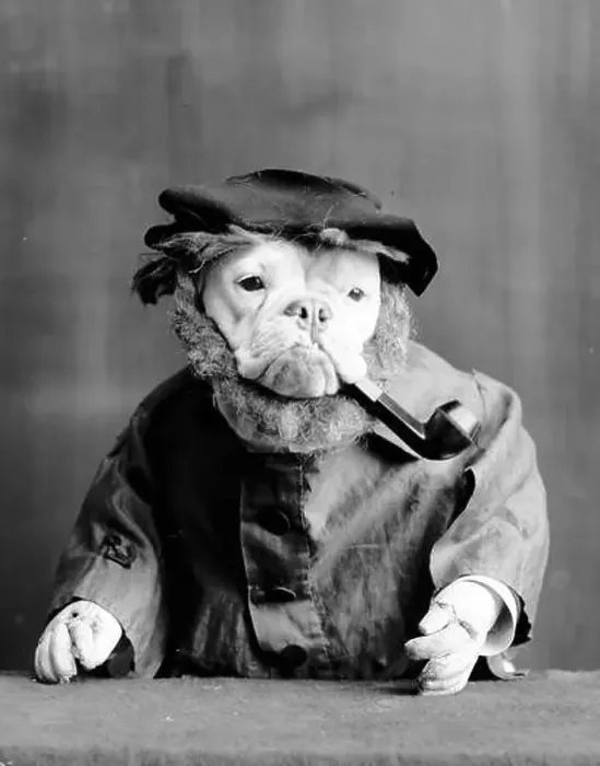 Framed Print : Anthropomorphism, Old Sea Dog, 1905 Framed Print : Anthropomorphism, Old Sea Dog, 1905