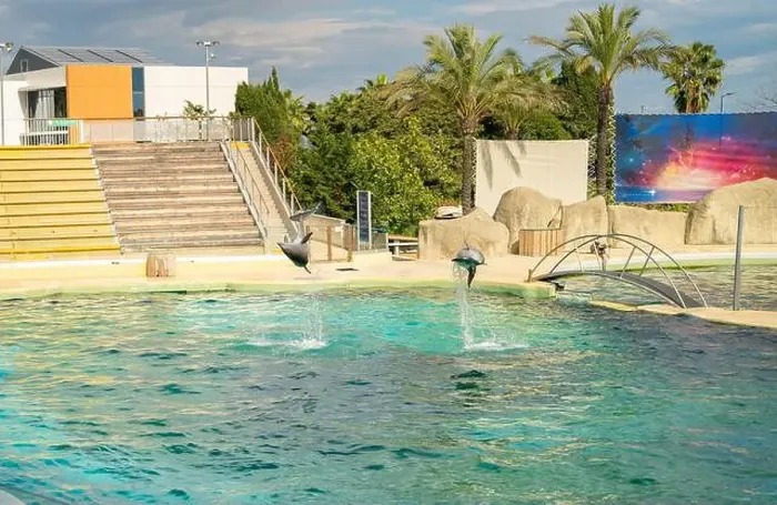 Framed Print : Antibes, France - 18.09.2024: Dolphin show at Marineland Framed Print : Antibes, France - 18.09.2024: Dolphin show at Marineland