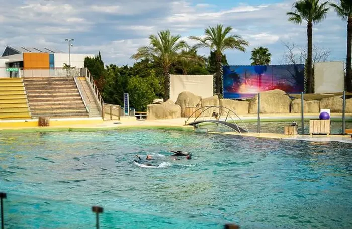 Framed Print : Antibes, France - 18.09.2024: Dolphin show at Marineland