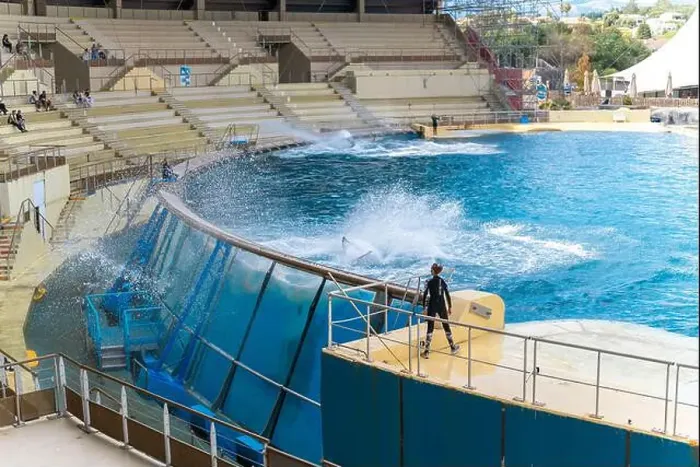 Framed Print : Antibes, France - 18.09.2024: Orca show at MarineLand