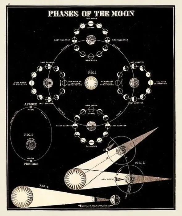 Framed Print : Antique astronomy illustration. Phases of the Moon. Circa 1850 Framed Print : Antique astronomy illustration. Phases of the Moon. Circa 1850