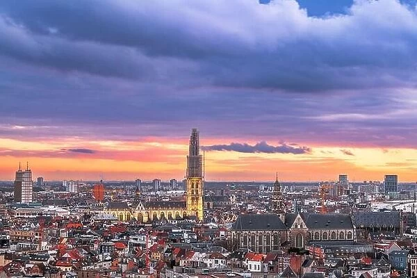 Antwerp, Belgium cityscape from above at twilight