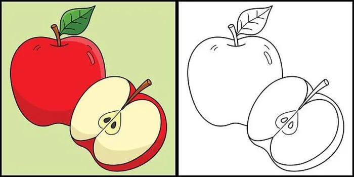 Framed Print : Apple Fruit Coloring Page Colored Illustration