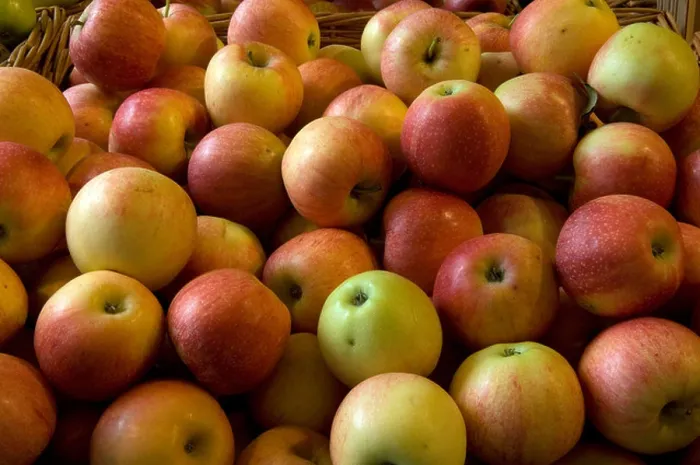 Framed Print : Apples Framed Print : Apples