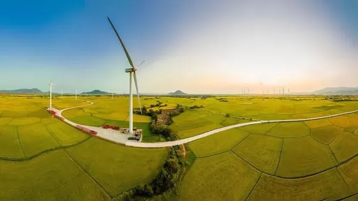 Framed Print : April 8, 2023: rice fields in Phan Rang city are in the harvest season next to wind power poles