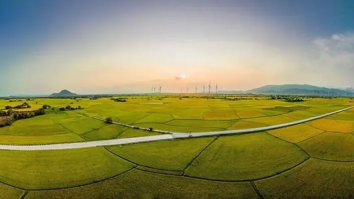 Framed Print : April 8, 2023: rice fields in Phan Rang city are in the harvest season next to wind power poles Framed Print : April 8, 2023: rice fields in Phan Rang city are in the harvest season next to wind power poles