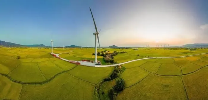 Framed Print : April 8, 2023: rice fields in Phan Rang city are in the harvest season next to wind power poles Framed Print : April 8, 2023: rice fields in Phan Rang city are in the harvest season next to wind power poles