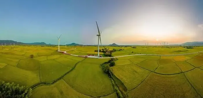 Framed Print : April 8, 2023: rice fields in Phan Rang city are in the harvest season next to wind power poles Framed Print : April 8, 2023: rice fields in Phan Rang city are in the harvest season next to wind power poles