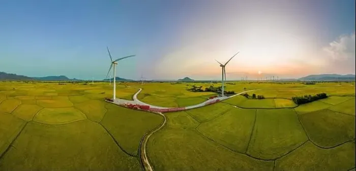 Framed Print : April 8, 2023: rice fields in Phan Rang city are in the harvest season next to wind power poles Framed Print : April 8, 2023: rice fields in Phan Rang city are in the harvest season next to wind power poles