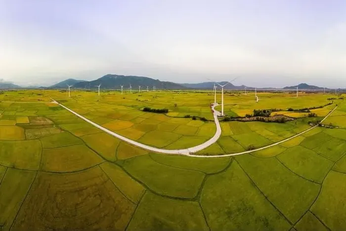 Framed Print : April 8, 2023: rice fields in Phan Rang city are in the harvest season next to wind power poles Framed Print : April 8, 2023: rice fields in Phan Rang city are in the harvest season next to wind power poles