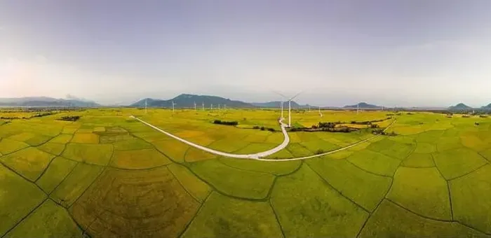Framed Print : April 8, 2023: rice fields in Phan Rang city are in the harvest season next to wind power poles Framed Print : April 8, 2023: rice fields in Phan Rang city are in the harvest season next to wind power poles