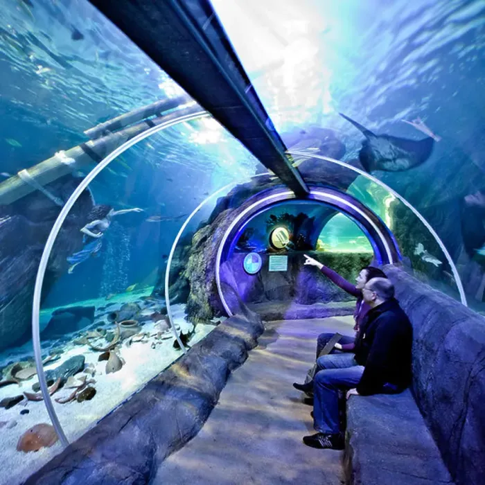 Framed Print : aquarium amusement park, Germany, North Rhine-Westphalia, Ruhr Area, Oberhausen