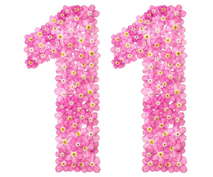 Framed Print : Arabic numeral 11, eleven, from pink forget-me-not flowers, isolated on white background Framed Print : Arabic numeral 11, eleven, from pink forget-me-not flowers, isolated on white background