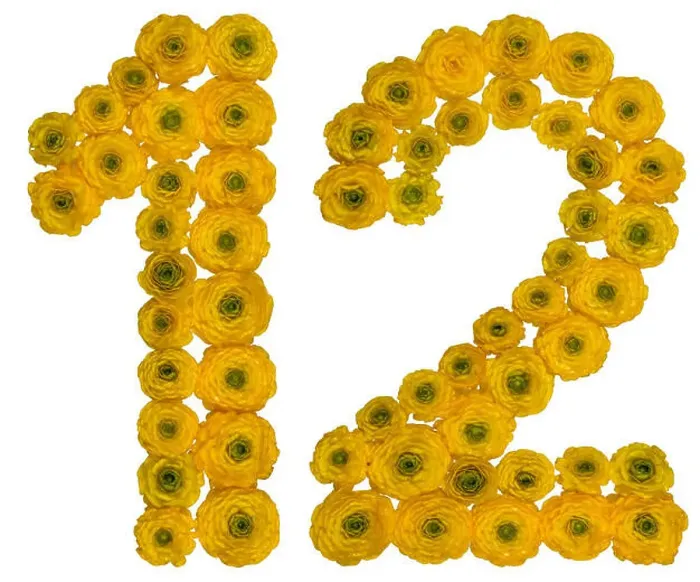 Framed Print : Arabic numeral 12, twelve, from yellow flowers of buttercup, isolated on white background Framed Print : Arabic numeral 12, twelve, from yellow flowers of buttercup, isolated on white background