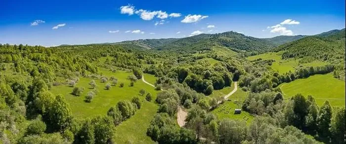Framed Print : Arial view of an apiary with many bee hives in the mountains of Romania. Beekeeping concept Framed Print : Arial view of an apiary with many bee hives in the mountains of Romania. Beekeeping concept