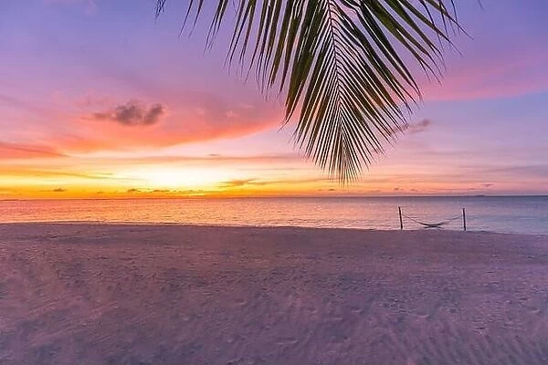 Art Beautiful sunrise over the tropical beach nature. Relax beach landscape, amazing seascape sunset view. Horizon palm leaf, sand colorful sky clouds