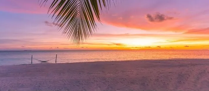 Framed Print : Art Beautiful sunrise over the tropical beach nature. Relax beach landscape, amazing seascape sunset view. Horizon palm leaf, sand colorful sky clouds Framed Print : Art Beautiful sunrise over the tropical beach nature. Relax beach landscape, amazing seascape sunset view. Horizon palm leaf, sand colorful sky clouds