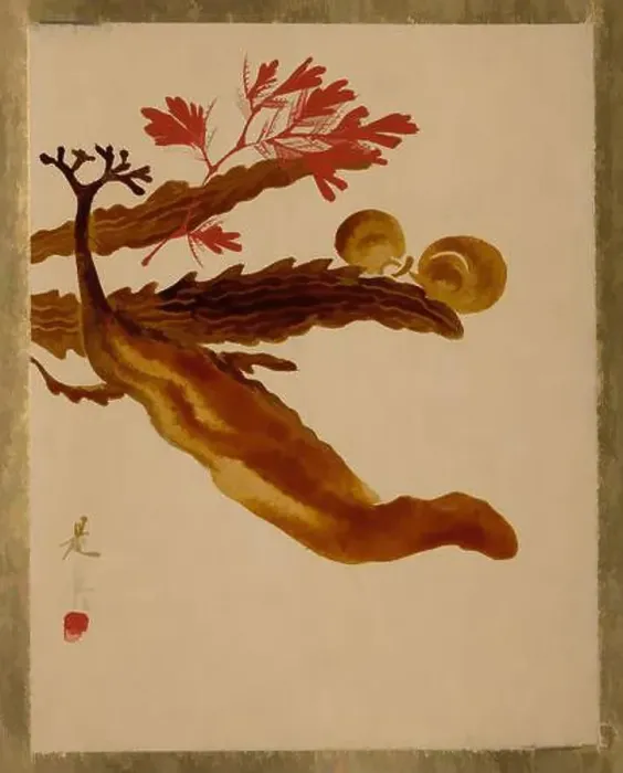 Framed Print : Art inspired by Seaweed, Edo period (1615–1868) Framed Print : Art inspired by Seaweed, Edo period (1615–1868)