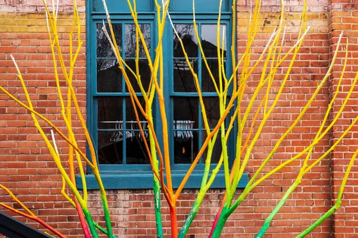 Framed Print : Artist Curtis Killorn hand paints tree vibrant colors, Steamplant Theater & Event Center, Salida, Colorado, USA Framed Print : Artist Curtis Killorn hand paints tree vibrant colors, Steamplant Theater & Event Center, Salida, Colorado, USA