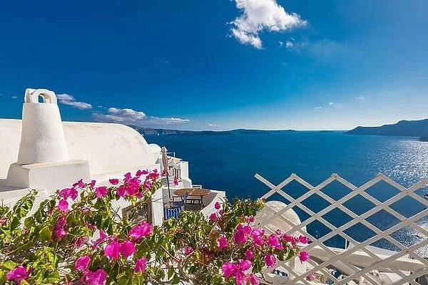 Artistic travel landscape, Santorini, Greece. Famous view of traditional white architecture landscape with flowers in foreground. Summer vacation