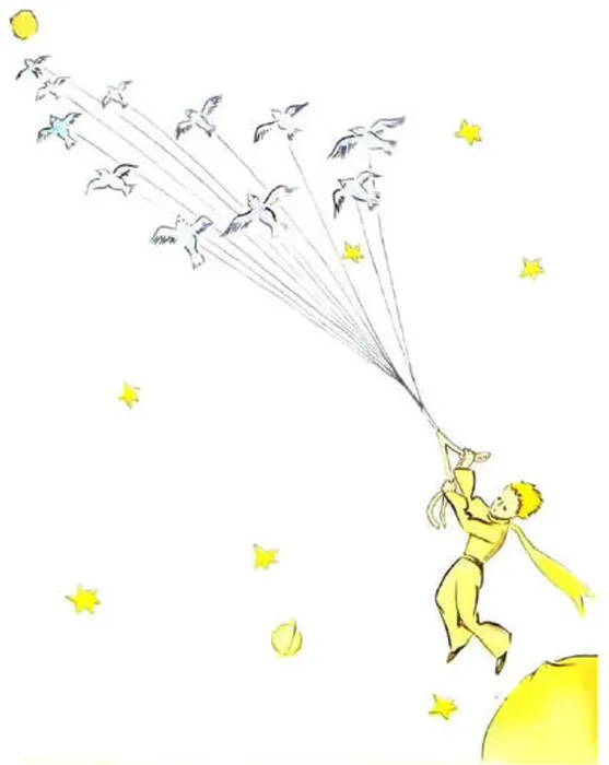 Framed Print : This artwork, titled Piccolo Principe VolaConMigratori Framed Print : This artwork, titled Piccolo Principe VolaConMigratori