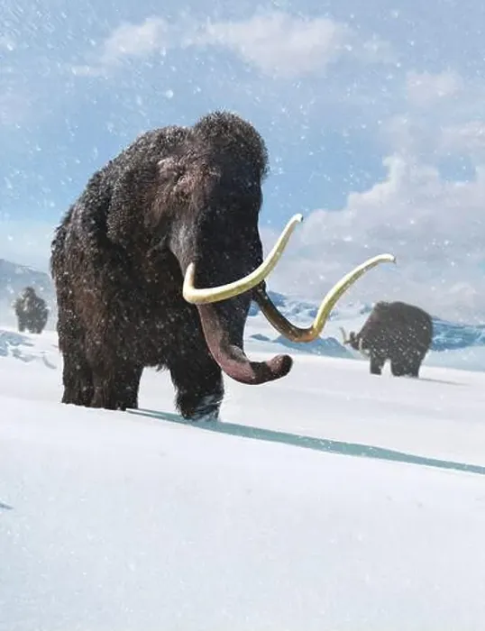 Framed Print : Artwork of a Woolly Mammoth Framed Print : Artwork of a Woolly Mammoth