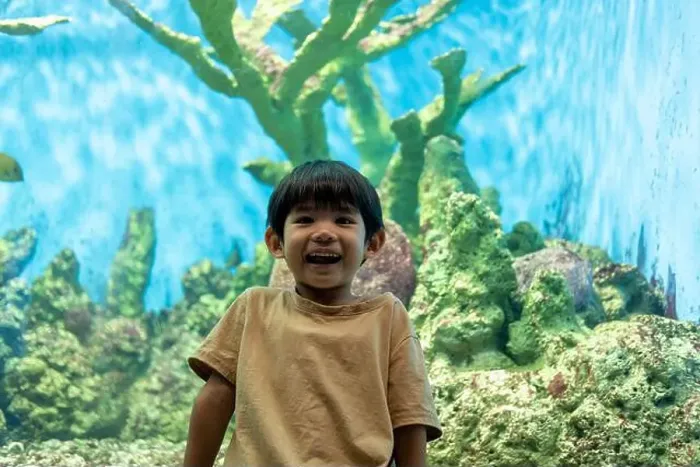 Framed Print : Asian boy standing pointing at aquarium background Framed Print : Asian boy standing pointing at aquarium background