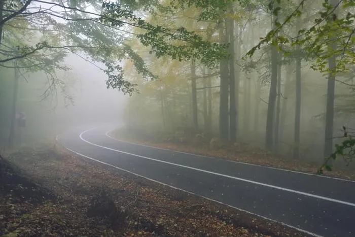 Framed Print : An asphalt road that goes through a misty dark misterious pine forest Framed Print : An asphalt road that goes through a misty dark misterious pine forest