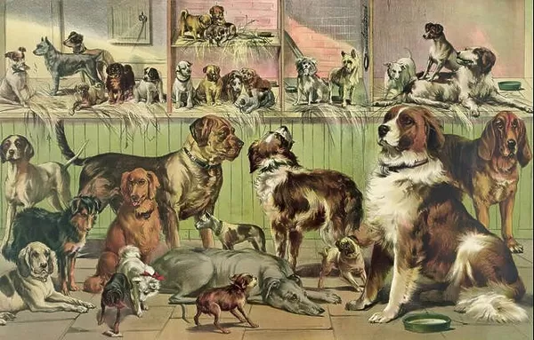 assorted dogs vintage artwork