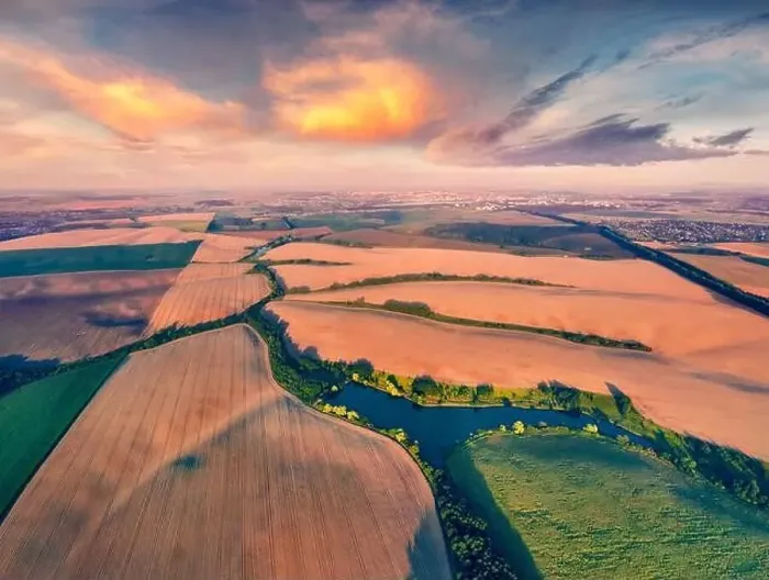 Framed Print : Astonishing summer view from flying drone of river in the shape of tree among the field of wheat Framed Print : Astonishing summer view from flying drone of river in the shape of tree among the field of wheat