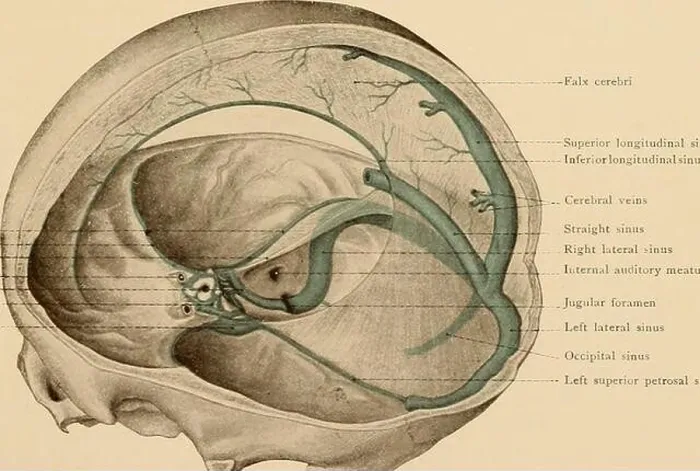 Framed Print : Atlas and text-book of topographic and applied anatomy Framed Print : Atlas and text-book of topographic and applied anatomy